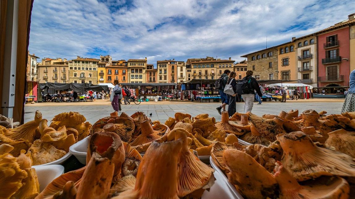 O que fazer neste fim de semana em Osona e Lluçanès: 18, 19 e 20 de outubro